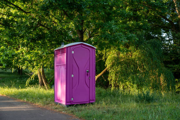 Reliable Fort Defiance, AZ porta potty rental Solutions